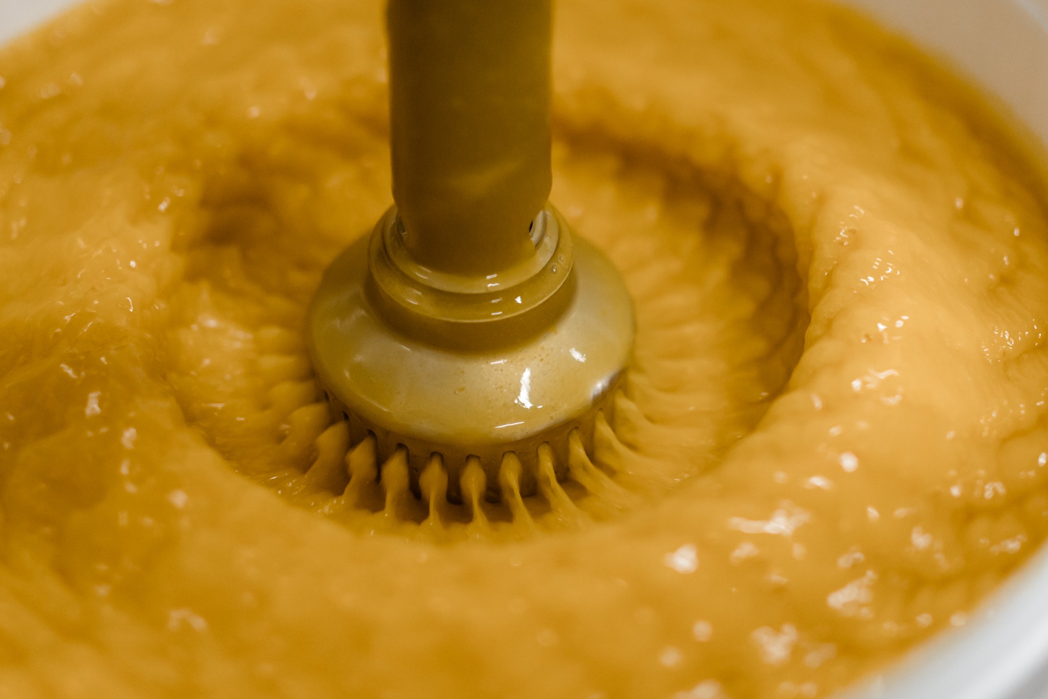 Stefka Kuzmanova Photography | Wild Fig Photography